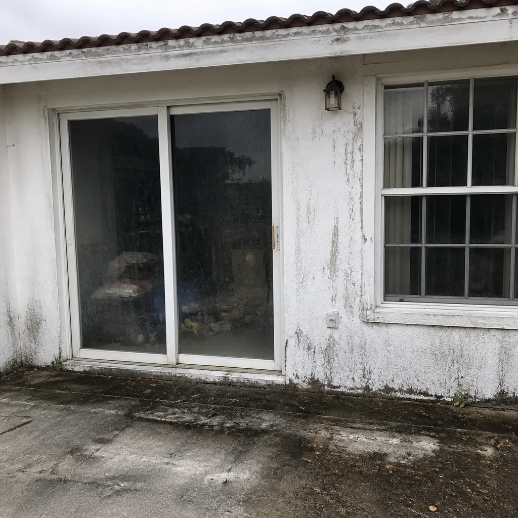 Before - Recent Project